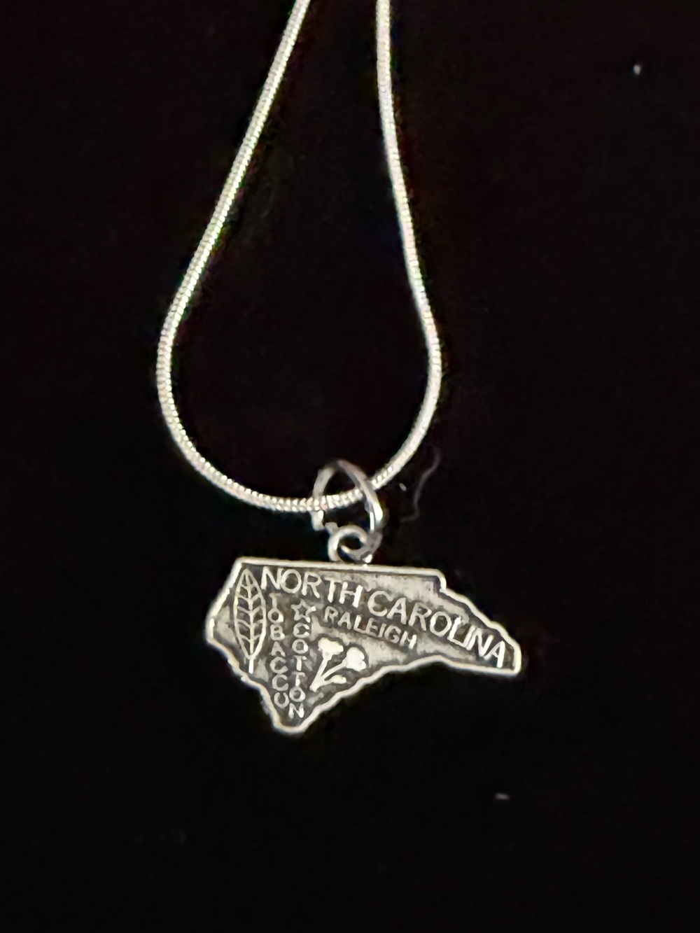 North Carolina Map Pendant Necklace - Silver